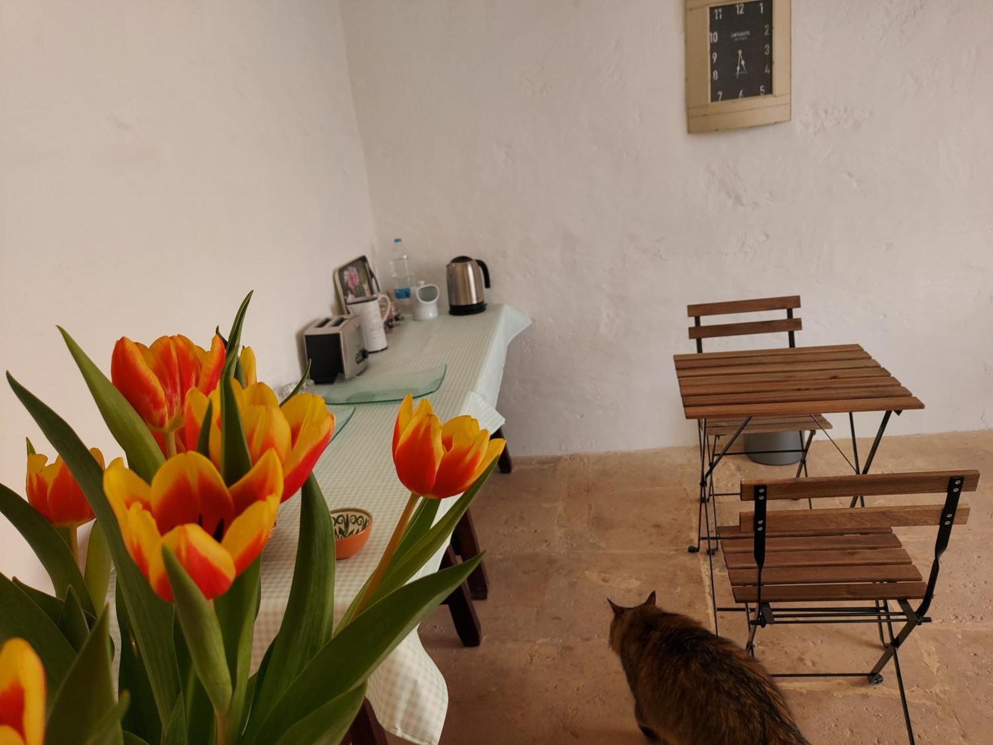 Razzett Warda B&B Għasri 외부 사진